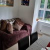 Photo 8: Living Space