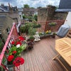 Photo 5: Terrace