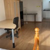 Photo 4: Stdio one living and working area
