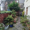 Photo 8: Garden