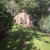 Photo 9: gorgeous garden