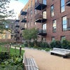 Photo 8: comunual garden 