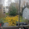 Photo 3: View from the kitchen window