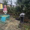 Photo 5: Private garden