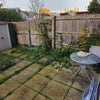Photo 6: Garden