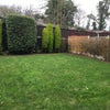 Photo 8: Garden