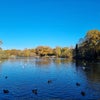 Photo 8: 10 min walk from Highams Park lake