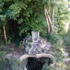Photo 9: Private woodland 