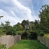 Photo 9: Garden