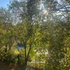 Photo 4: View from living room
