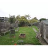 Photo 8: Garden