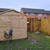 Photo 8: Garden/Shed