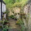 Photo 7: View from the kitchen