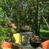 Photo 8: Garden (in the summer)