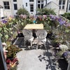 Photo 9: Roof terrace (In summer obvs)