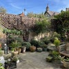 Photo 9: The garden in summer