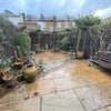 Photo 6: Back Garden