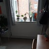 Photo 4: Bedroom - window looking onto back garden