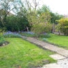 Photo 15:   Garden