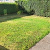 Photo 8: Front Garden