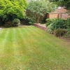 Photo 2: garden