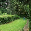 Photo 5: Garden 