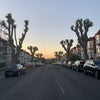 Photo 9: Street