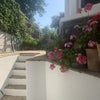 Photo 6: Garden or Patio