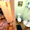 Photo 8: Downstairs Toilet & Utility; Dyson, Shark.