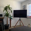 Photo 5: The lounge