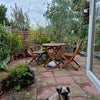 Photo 8: Garden