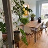 Photo 2: Shared kitchen 