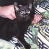 Rheanne\'s picture