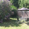 Photo 7: sunny sheltered garden