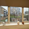 Photo 6: Views from the bedroom to the garden