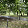 Photo 6: Meadows park with pedestrian path to Edinburgh uni library, George Square and Roual Mile