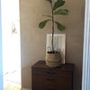 Photo 6: Hallway