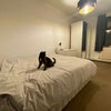 Photo 3: Room