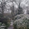 Photo 9: Views over the front garden when it snowed!