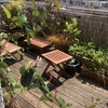 Photo 8: balcony 