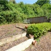 Photo 7: Garden- plans to plant!