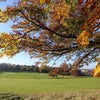 Photo 16: Warley Woods Park (3 mins walk away)