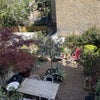 Photo 9: Garden