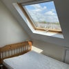 Photo 7: Bed and window