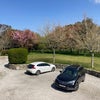 Photo 3: Parking 