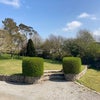 Photo 5: Garden 