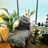 Photo 3: Relaxing lounge area