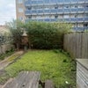 Photo 6: Garden