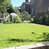 Photo 7: Garden (now has a greenhouse)