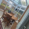 Photo 6: Conservatory 